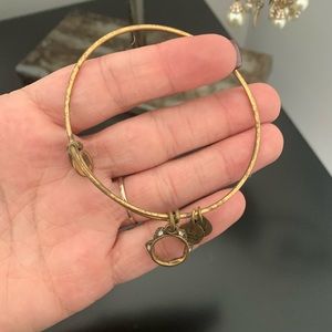 Crown Alex and Ani Gold Bangle